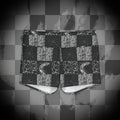 Grunge Centipede Yoga Shorts
