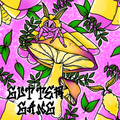 Maple Moth Mushroom Seamless Files