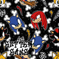 Gotta Go Fast Seamless File