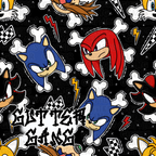 Gotta Go Fast Seamless File