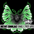 Flying Beauty lime PNG