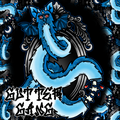 Blue Long Furby PNG