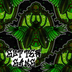 Beetle Bundle Seamless & PNG