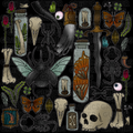 Oddities Wall PNG